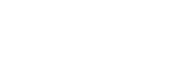 Big 5 Tech Company